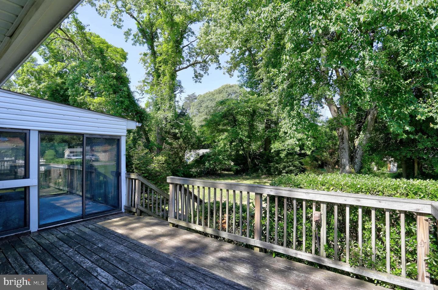 202 Brookfield Road photo 25