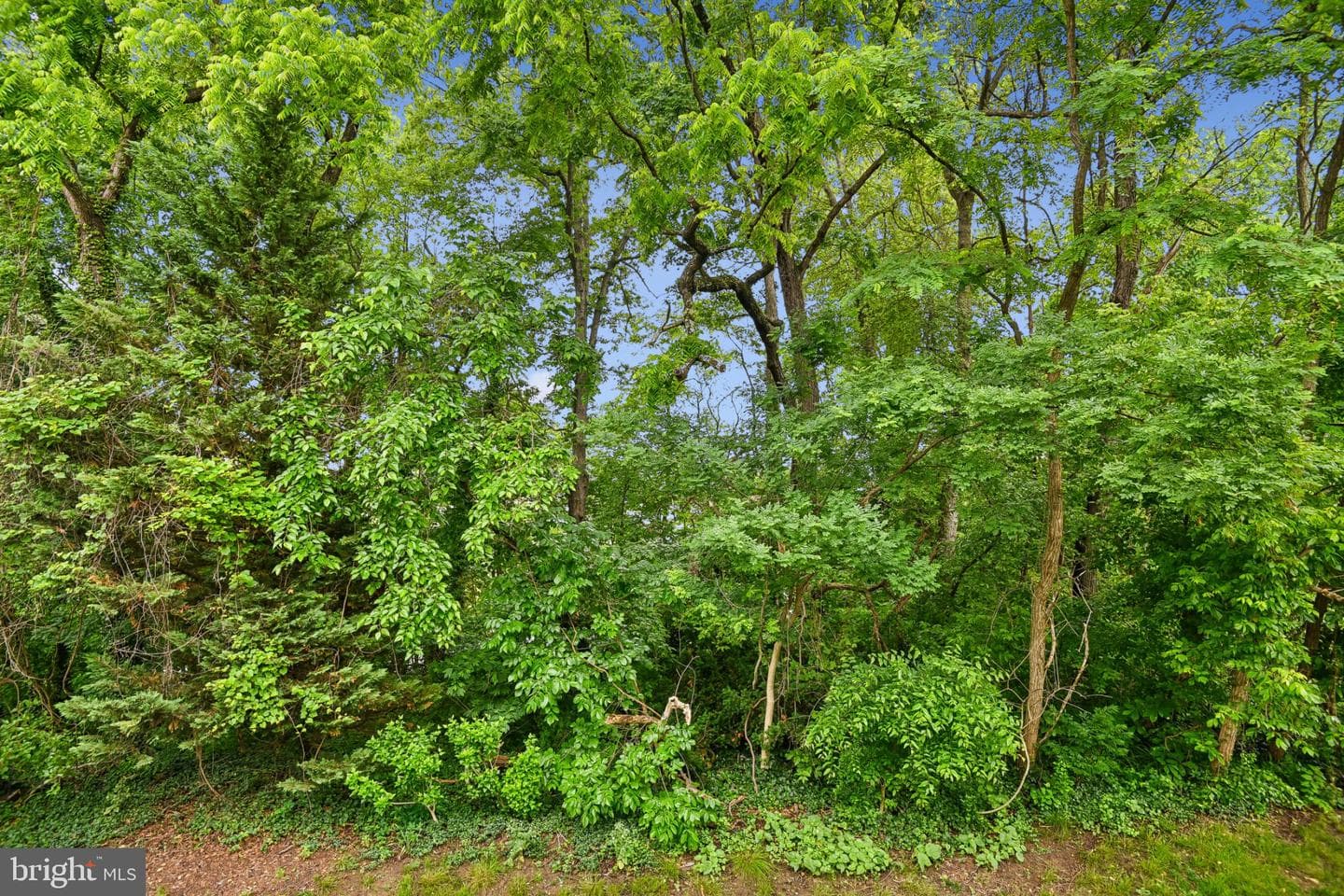 1431 Nestlewood Ct photo 14