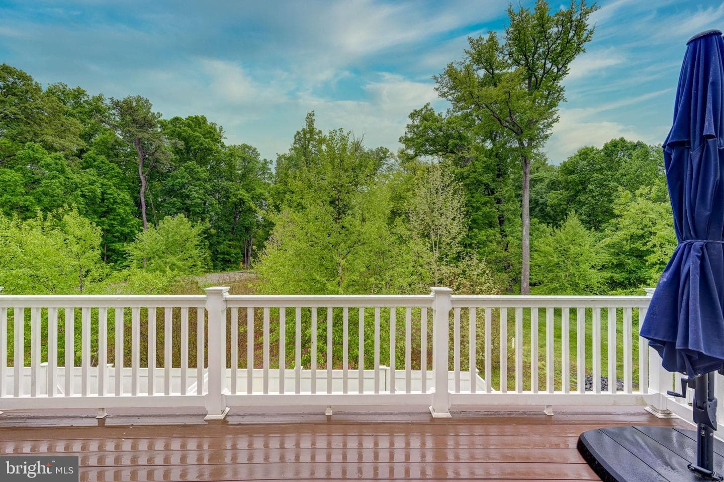 1317 Hawthorn Drive photo 36