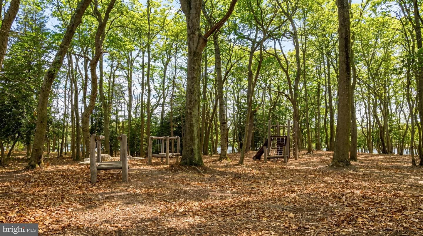 605 Lakemont Drive photo 101
