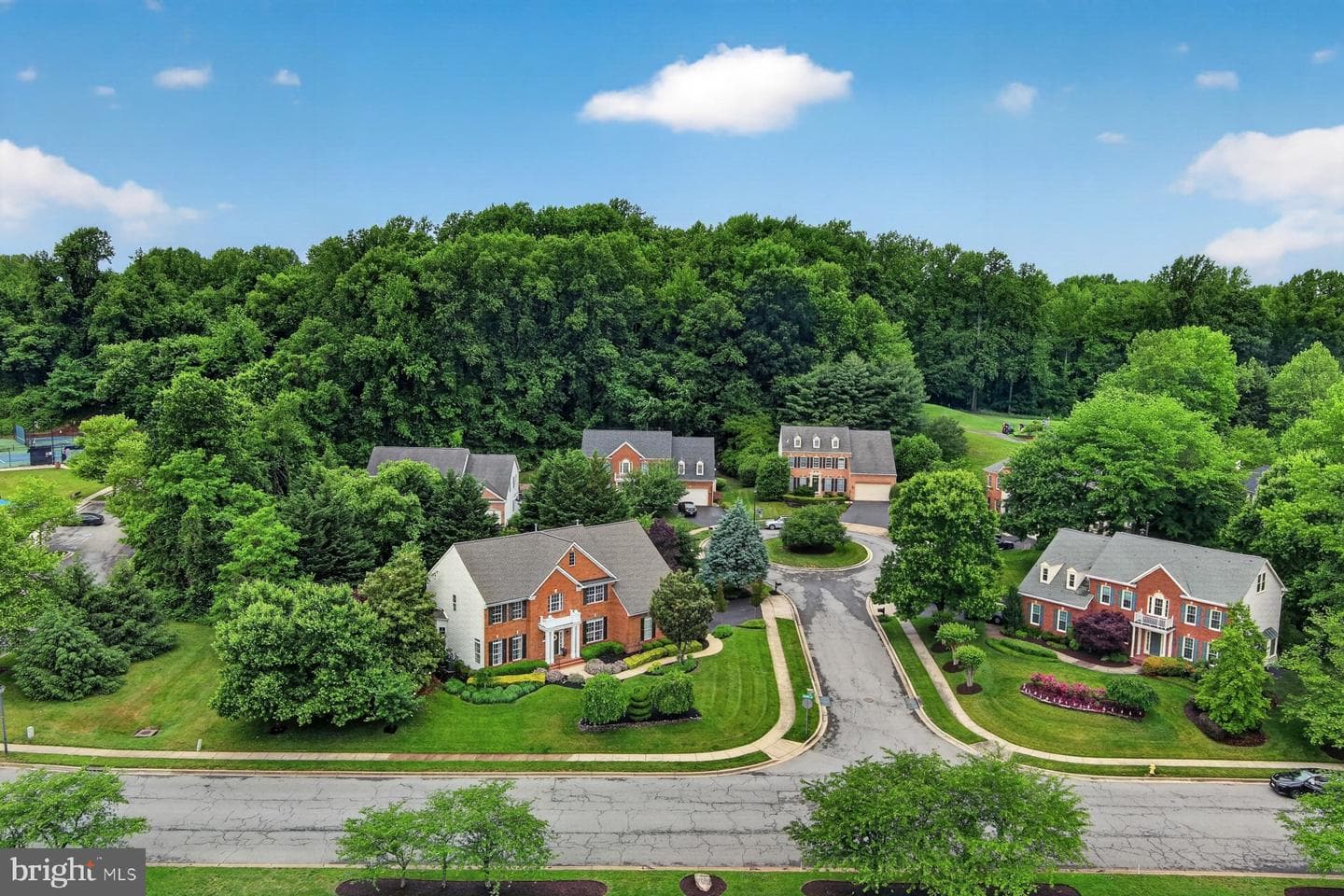 9 Sewall Court photo 87