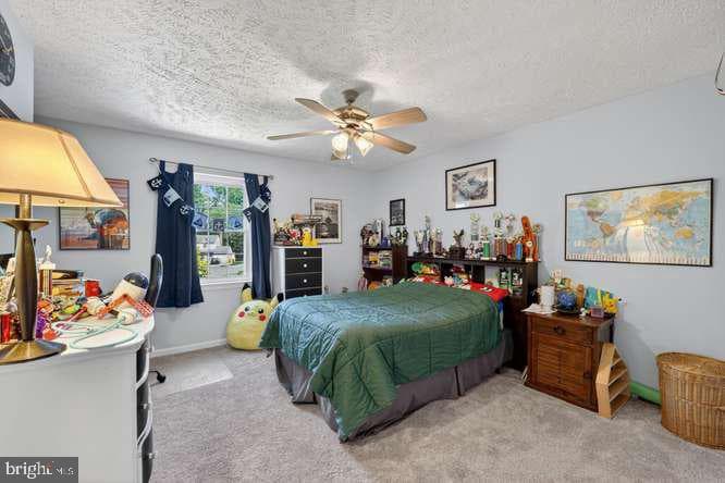1307 Blackwalnut Court photo 25
