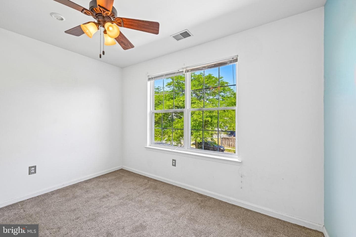 8341 Watermill Drive photo 22
