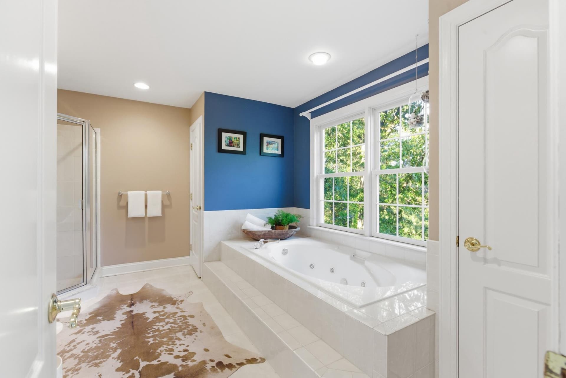1219 Meadow View Road photo 29