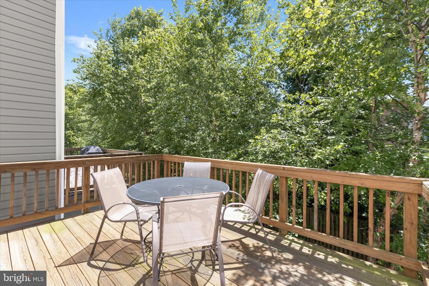 215 Gunther Place photo 13