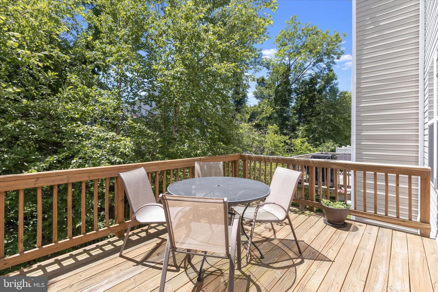215 Gunther Place photo 14