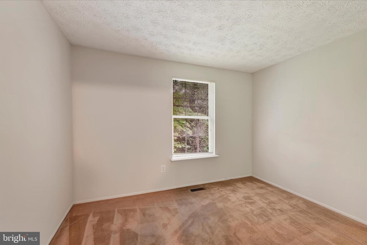 1503 Lodge Pole Court photo 15