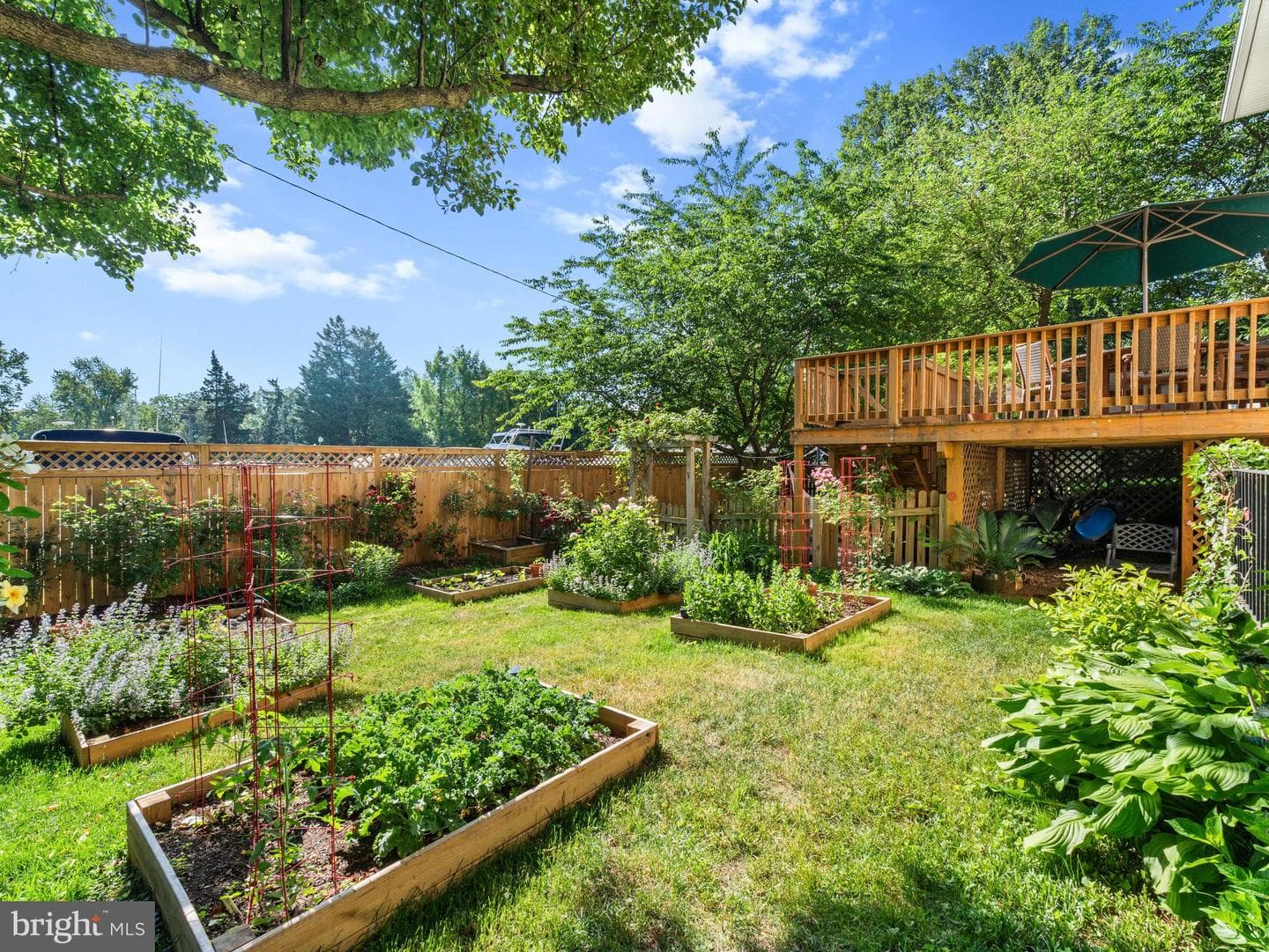 1123 Neptune Place photo 34