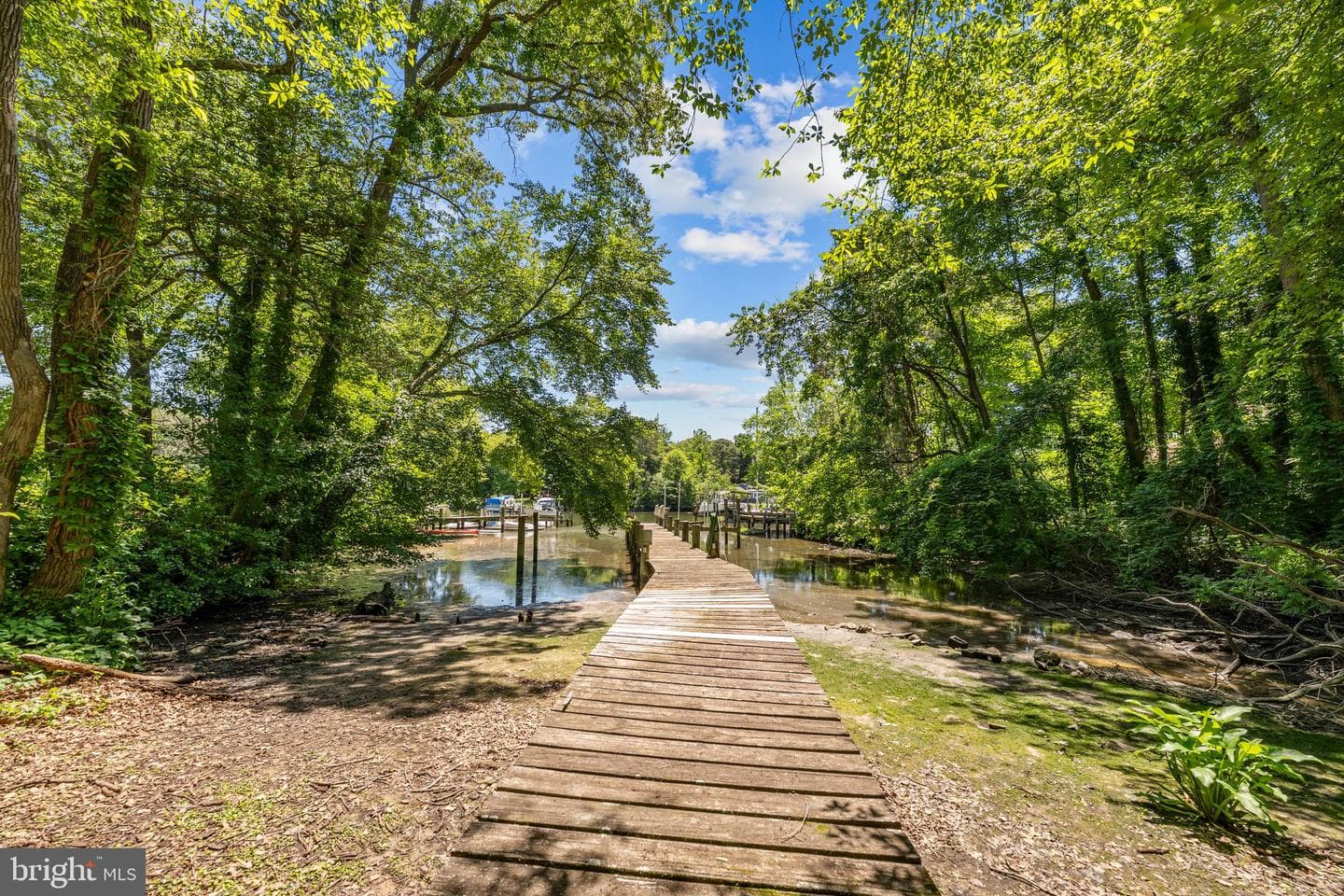 1262 Rock Hill Road photo 6