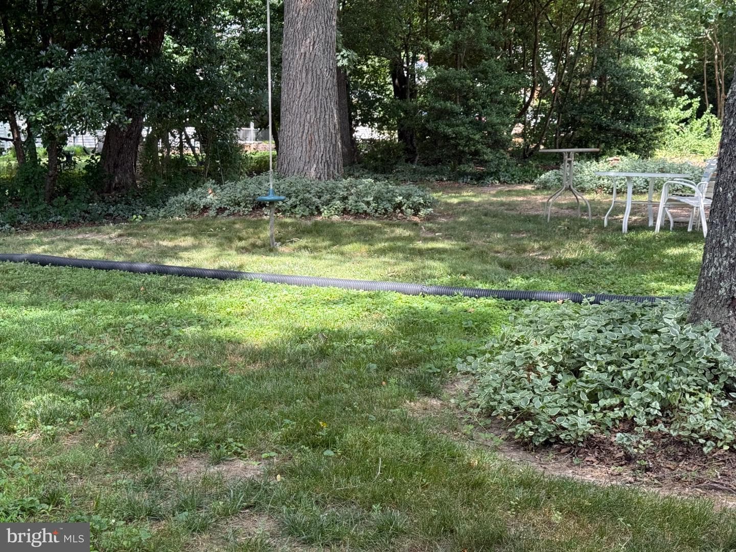 308 Saint Bees Drive photo 21