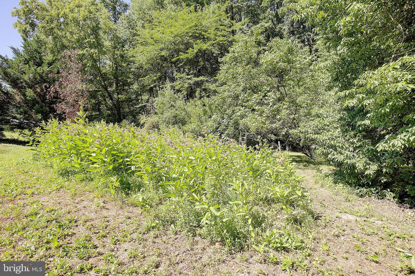 6664 Old Solomons Road photo 35