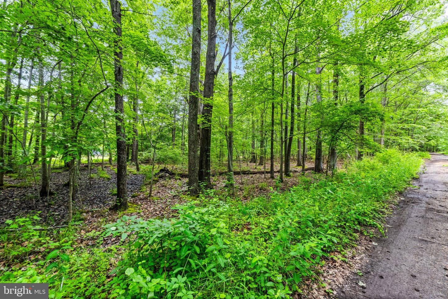 1430 Haile Parkway, Shady Side