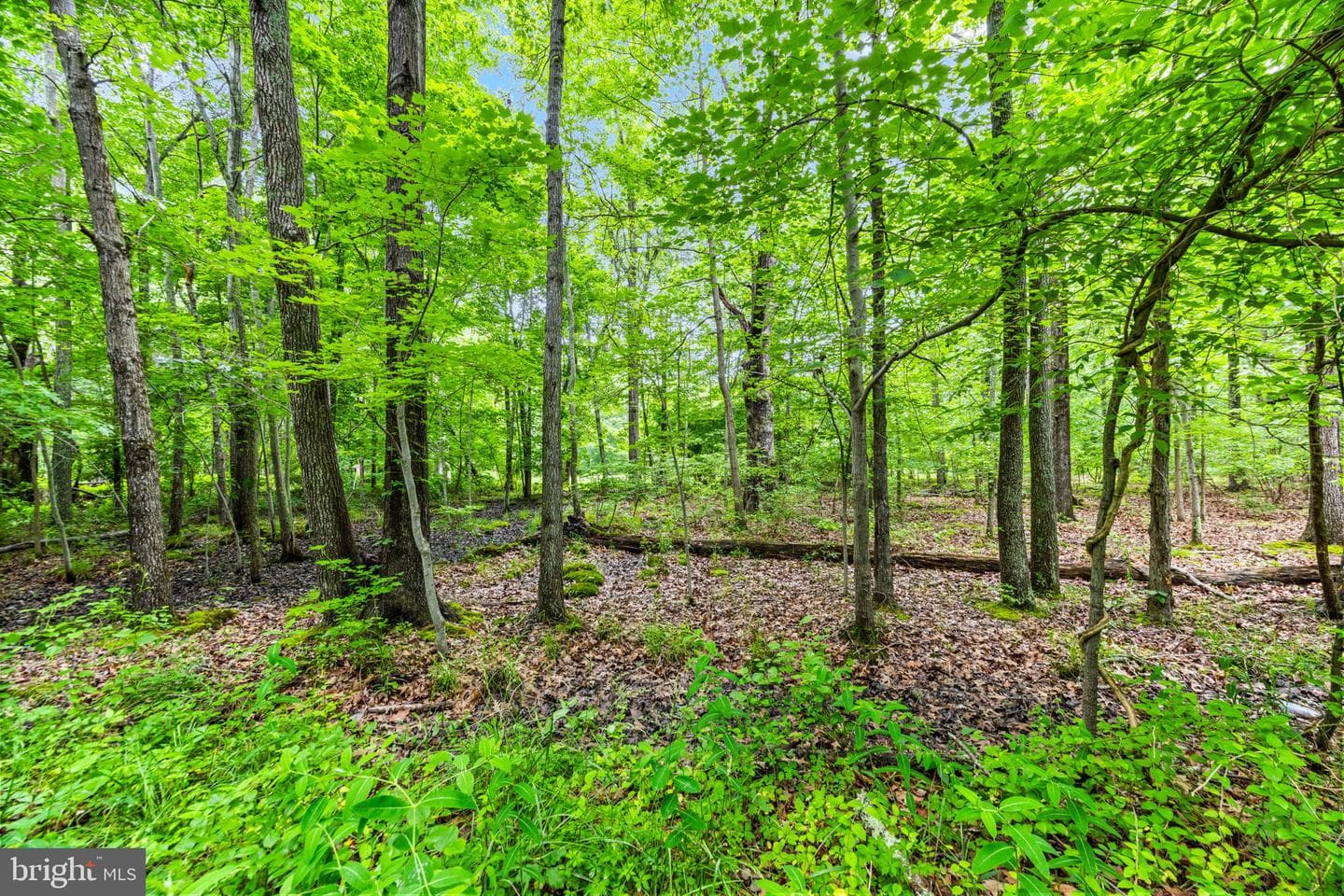 1430 Haile Parkway photo 25