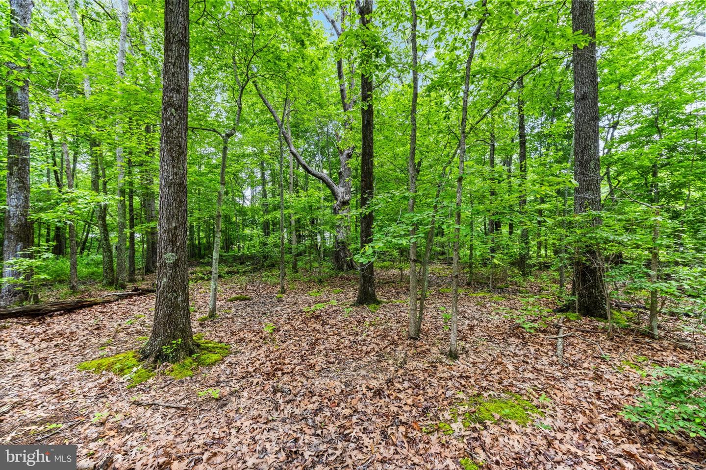 1430 Haile Parkway photo 26