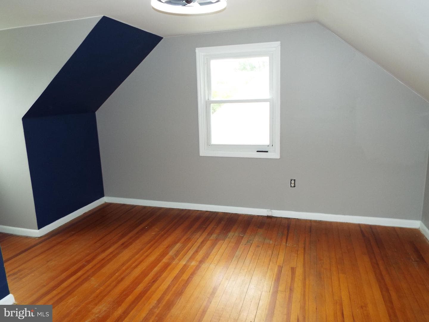 115 Louise Terrace photo 16