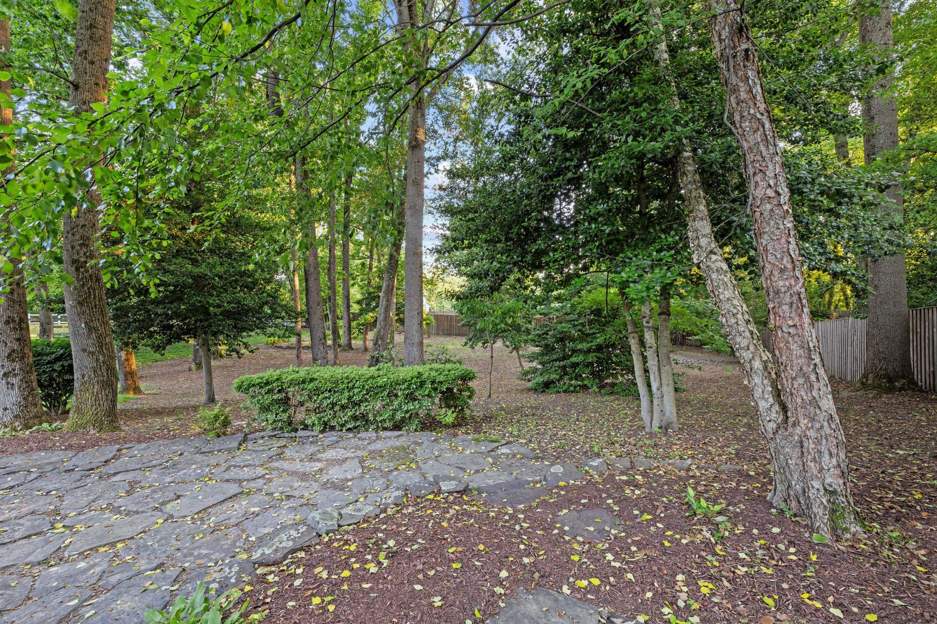 71 Simmons Lane photo 47