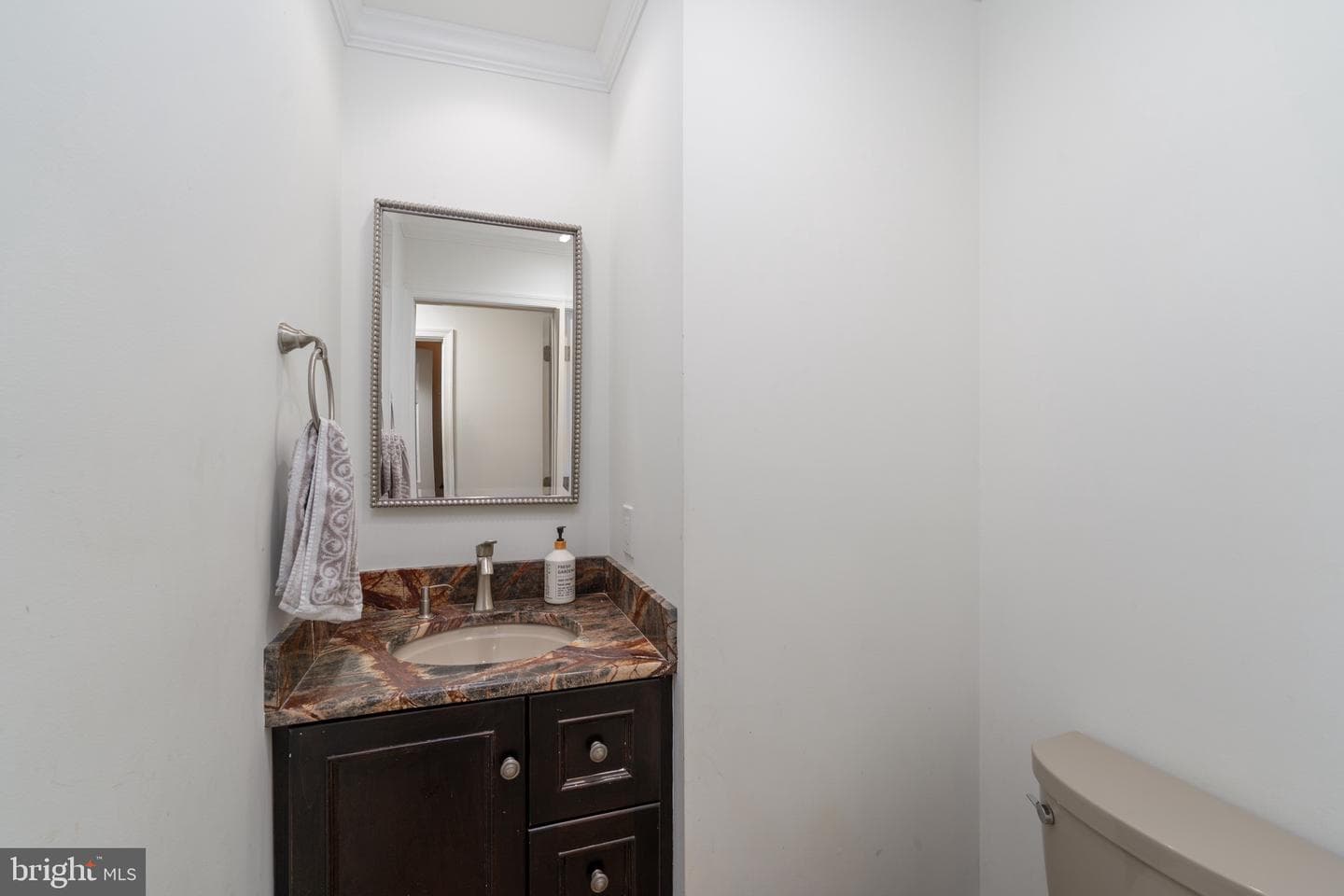 429 Fairtree Drive photo 14