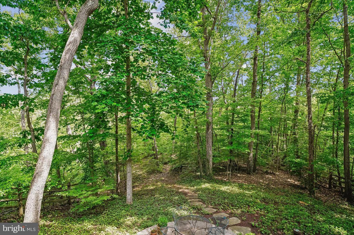 120 Kingswood Road photo 51