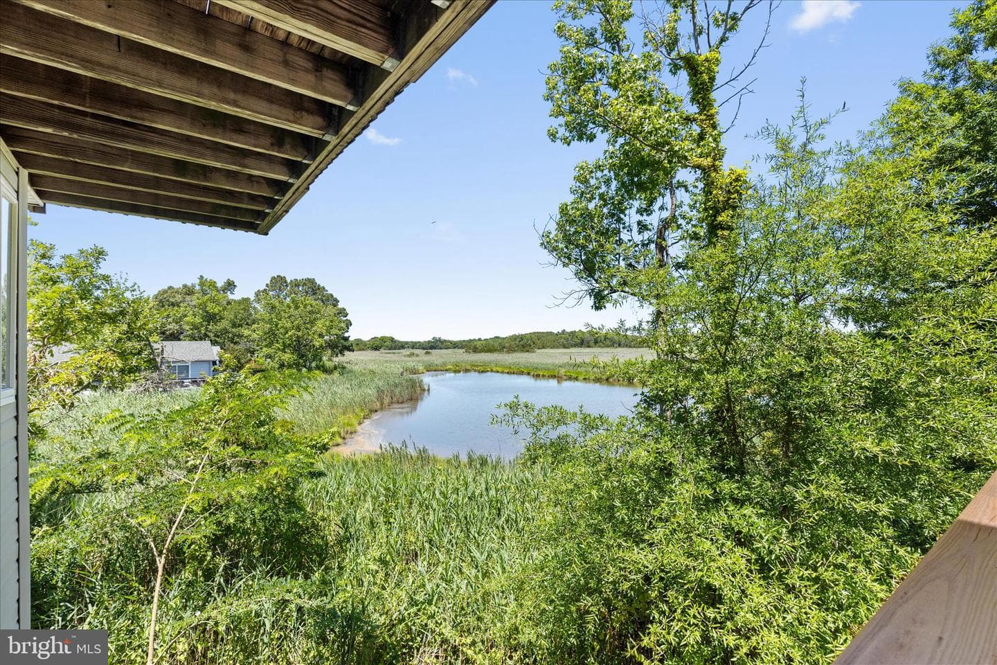5523 Ilchester Street photo 30