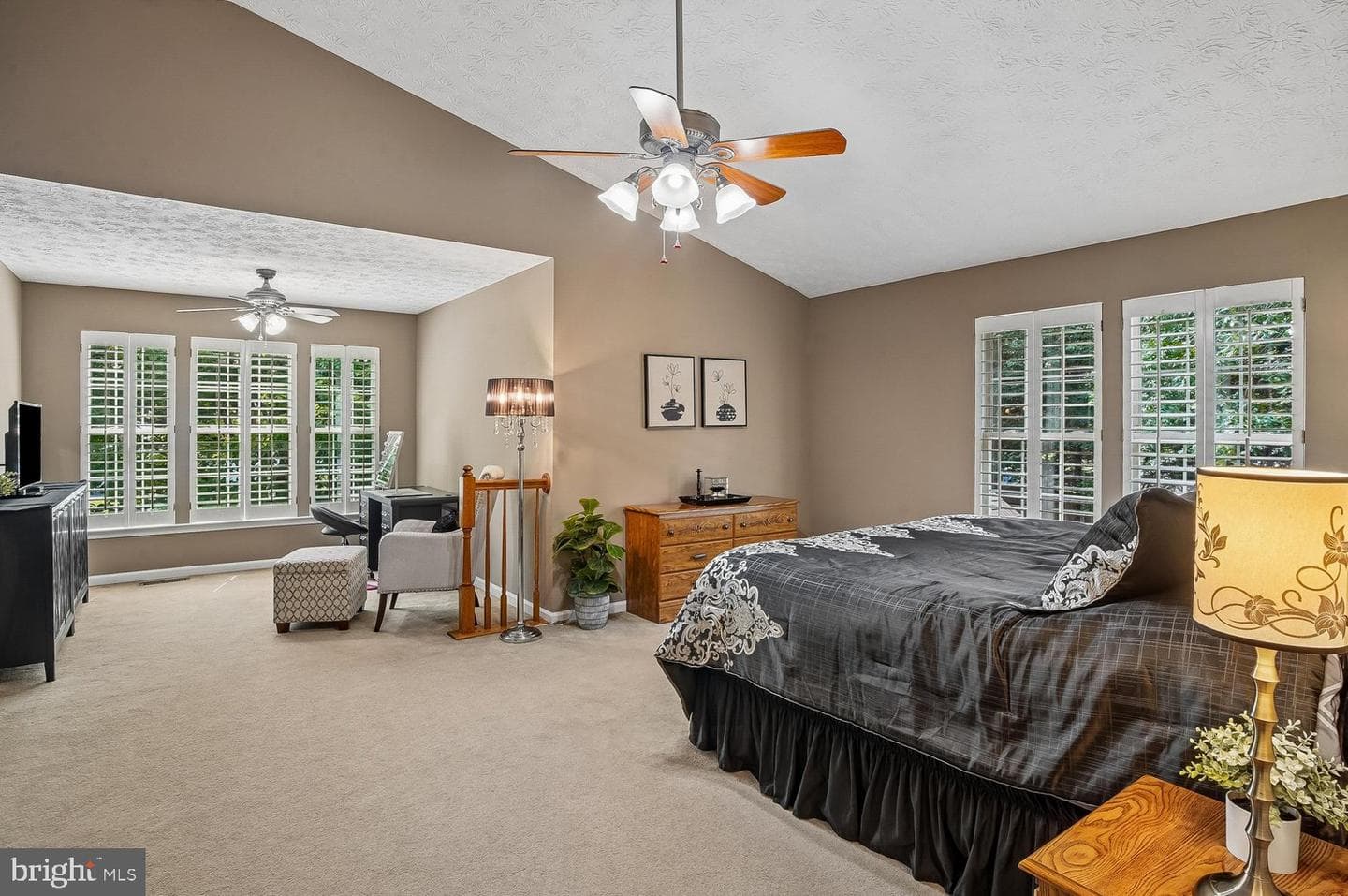 217 Raccoon Run Court photo 16