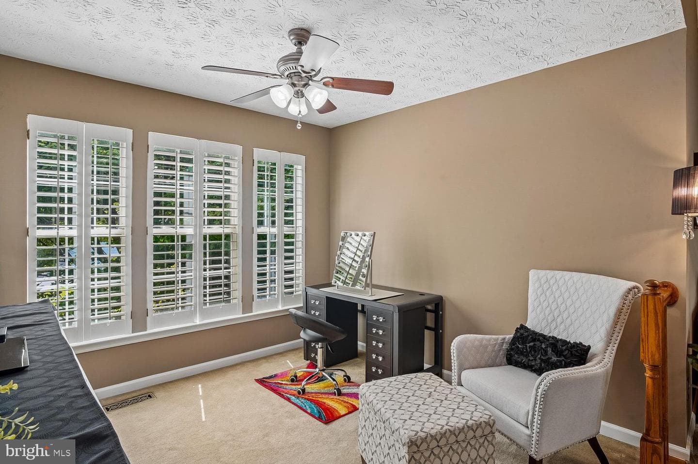 217 Raccoon Run Court photo 18