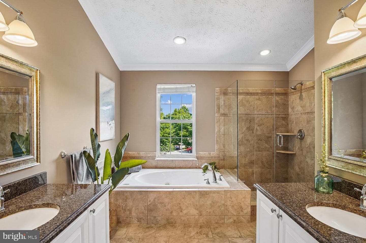 217 Raccoon Run Court photo 19