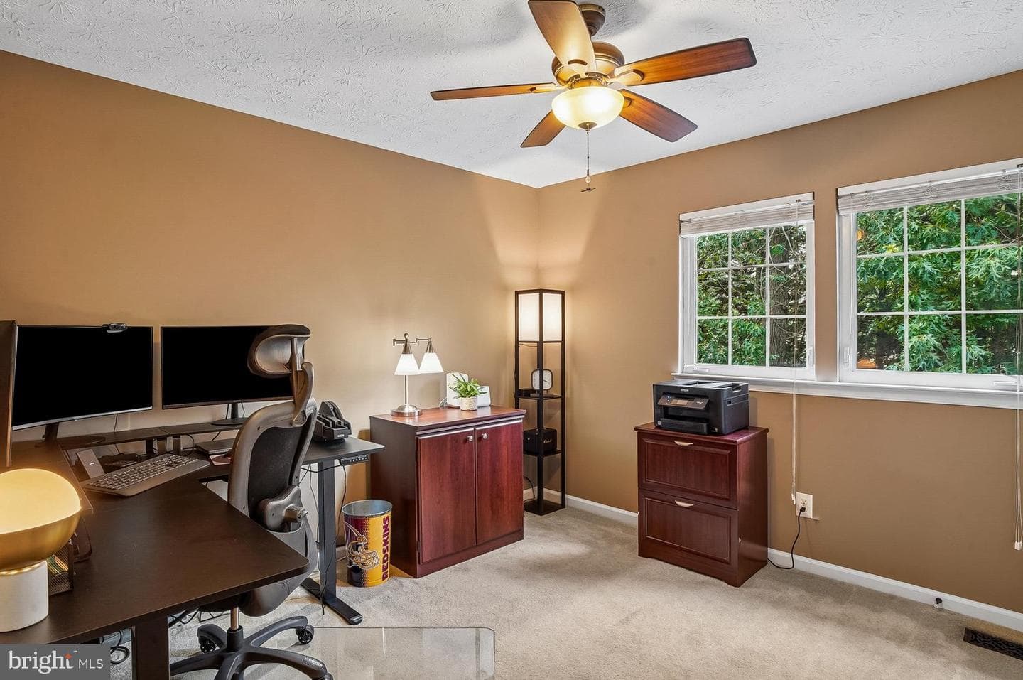 217 Raccoon Run Court photo 24