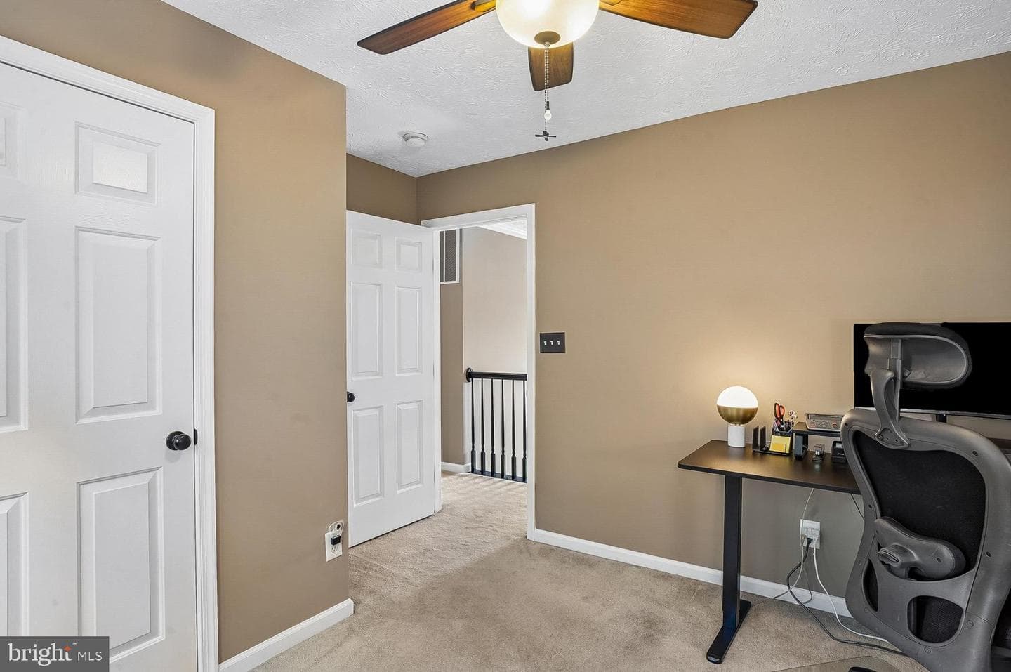 217 Raccoon Run Court photo 25