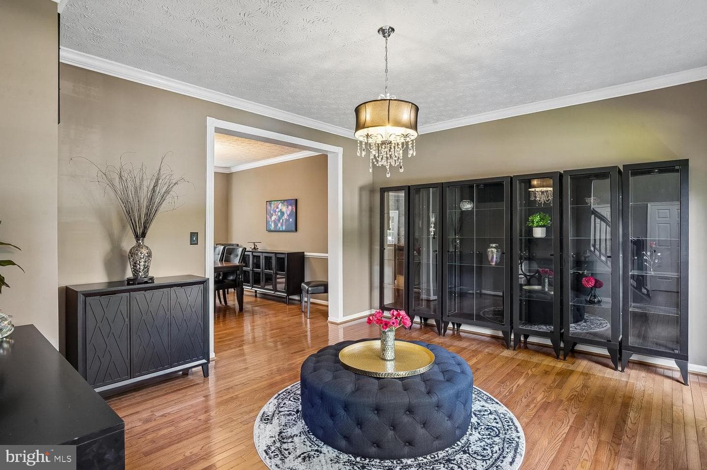 217 Raccoon Run Court photo 3