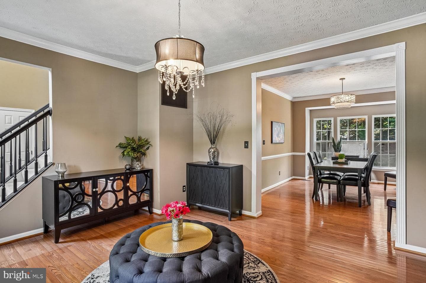 217 Raccoon Run Court photo 4