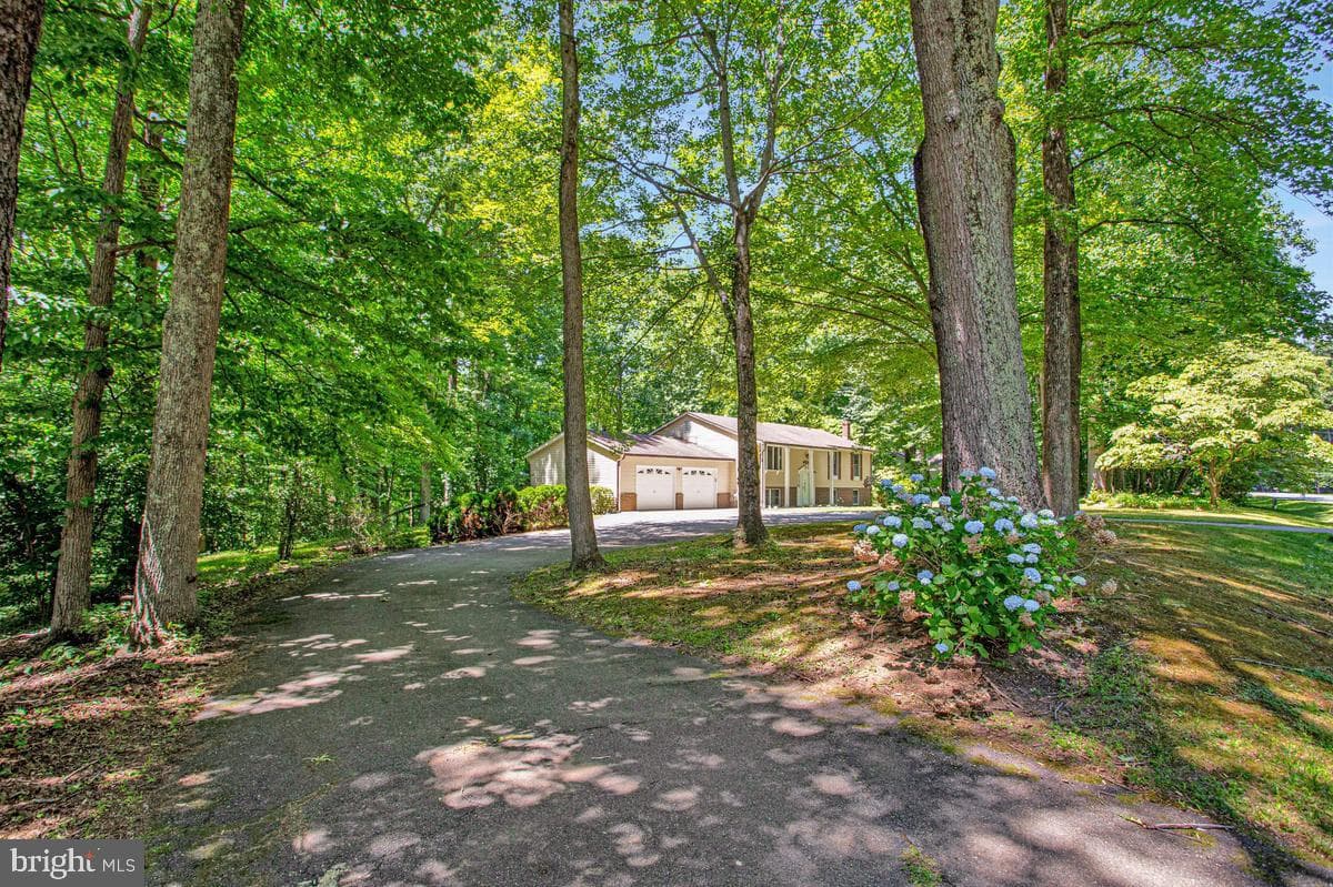 6524 Wilson Road photo 5