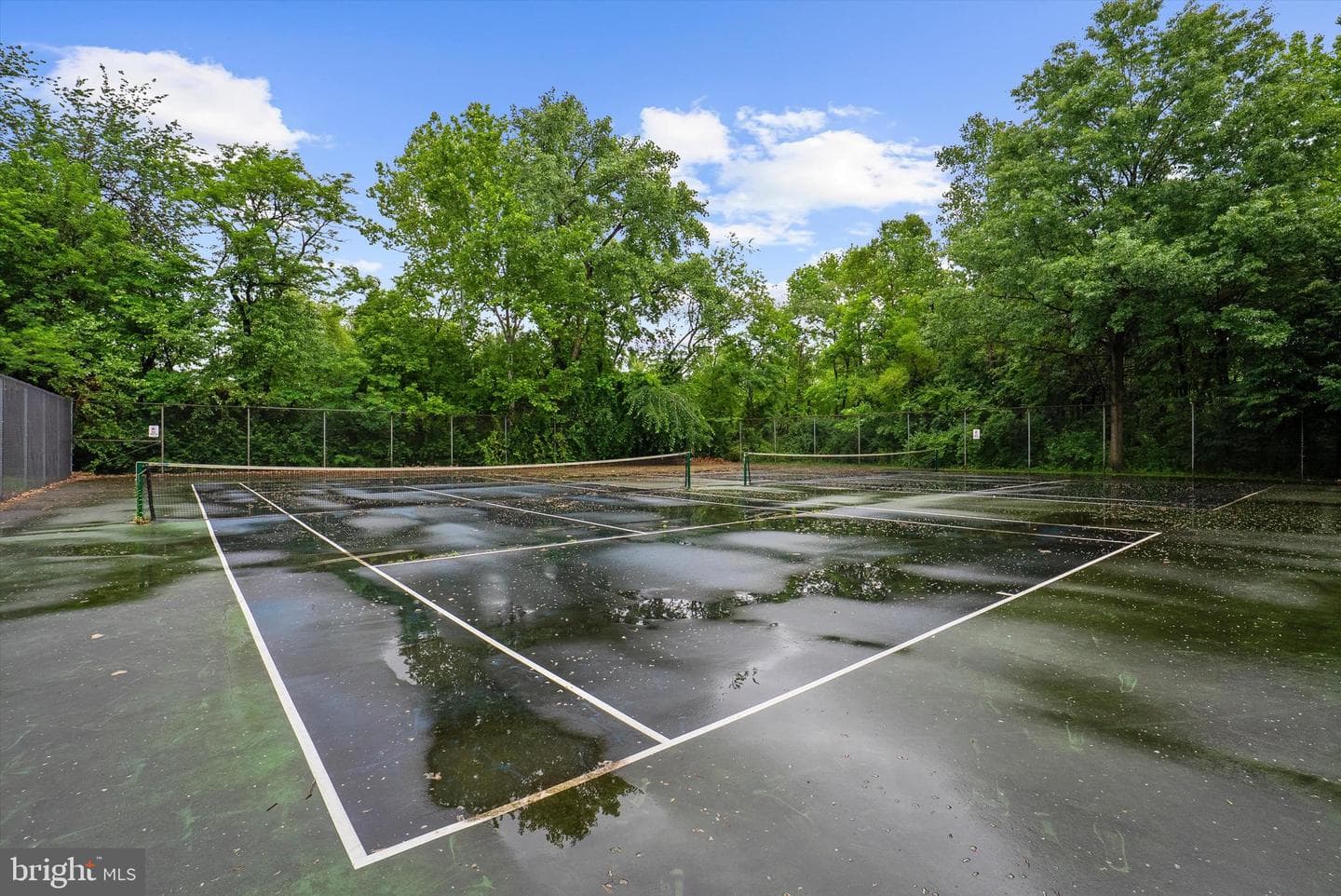6528 Clear Drop Court #101 photo 42