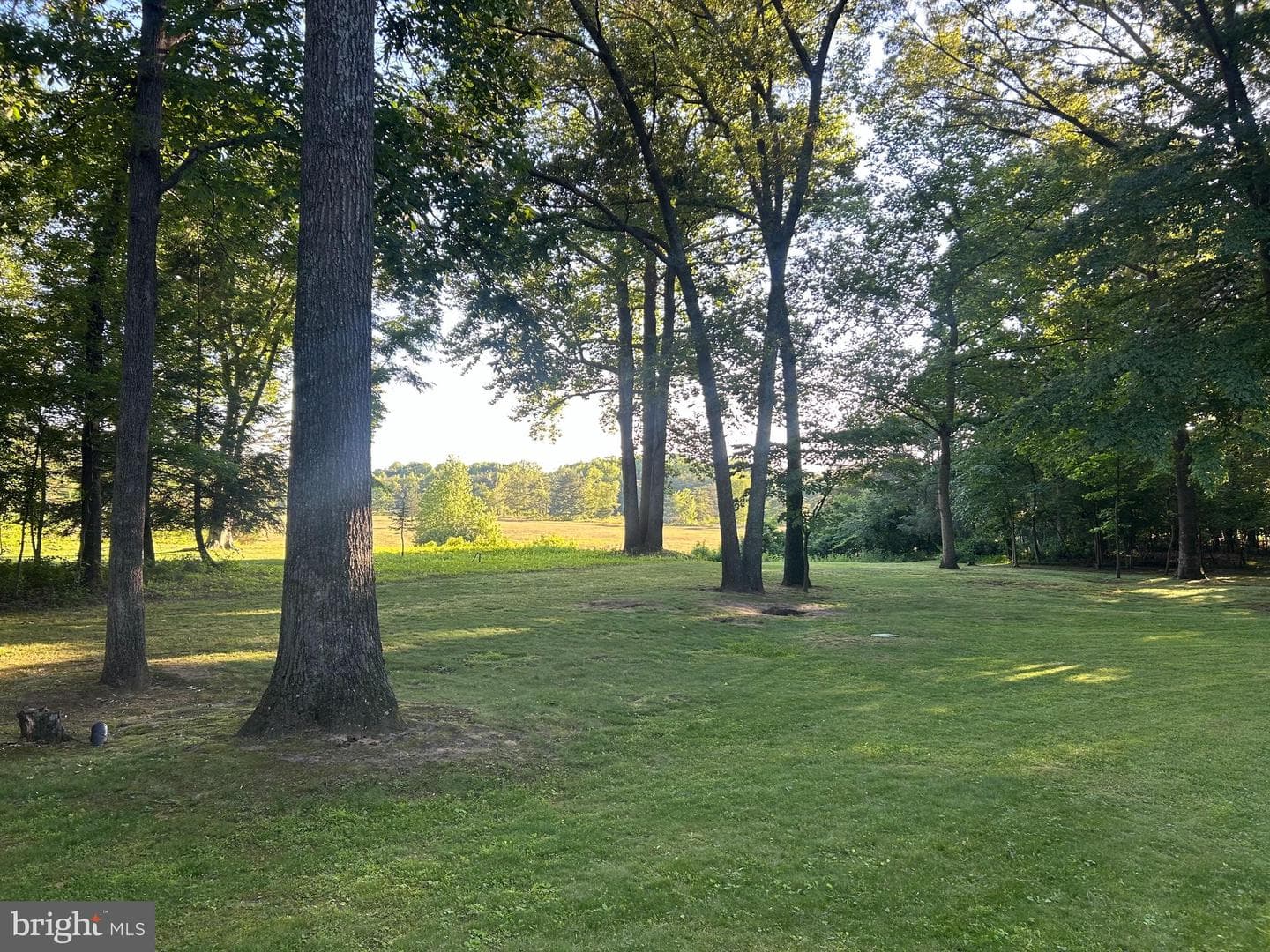 2326 Patuxent River Road photo 5