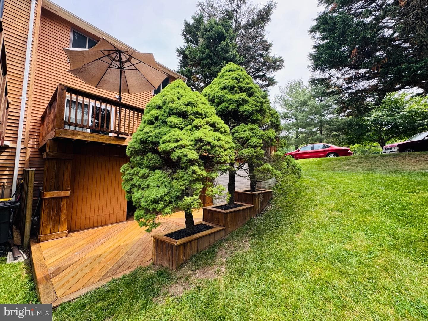 421 Peach Court photo 5