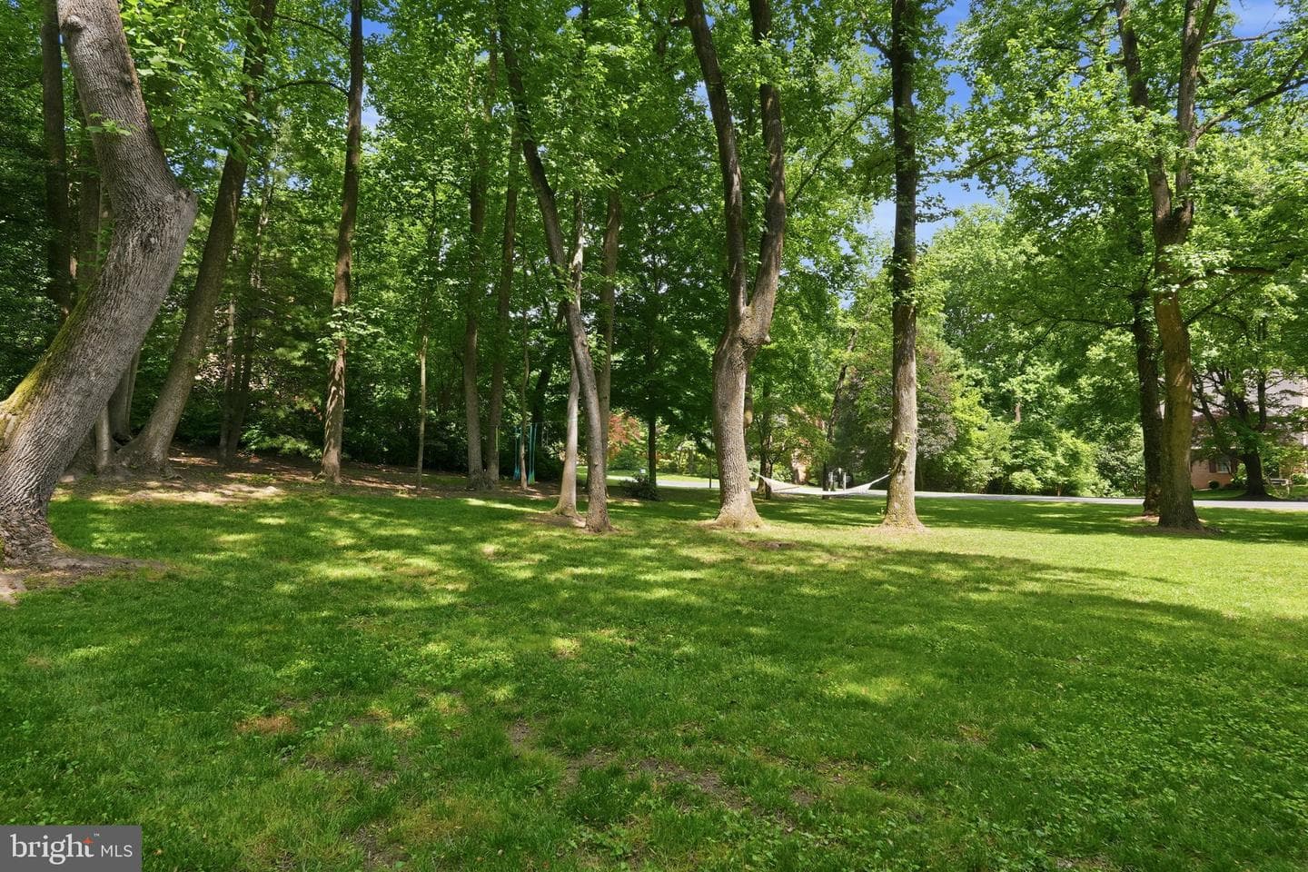 26 Belleview Drive photo 46