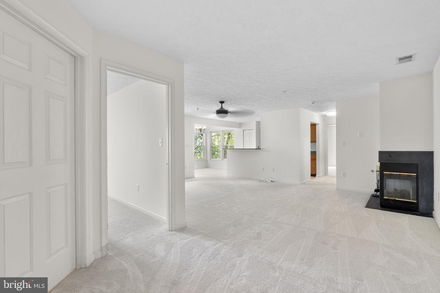 2444 Blue Spring Court #203 photo 3