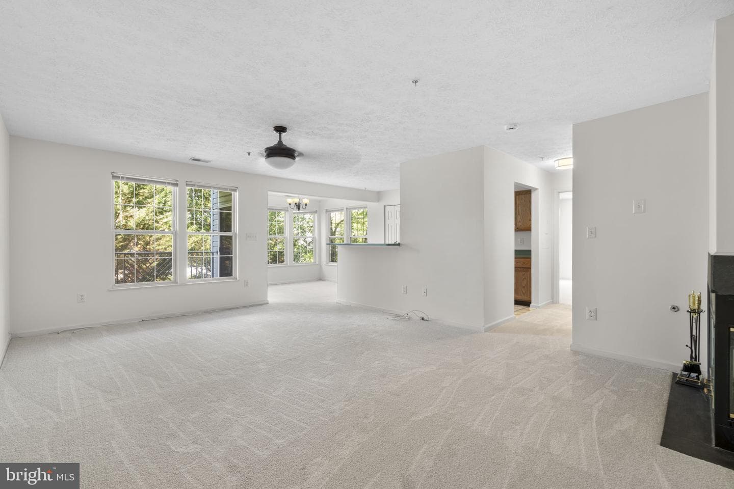 2444 Blue Spring Court #203 photo 4