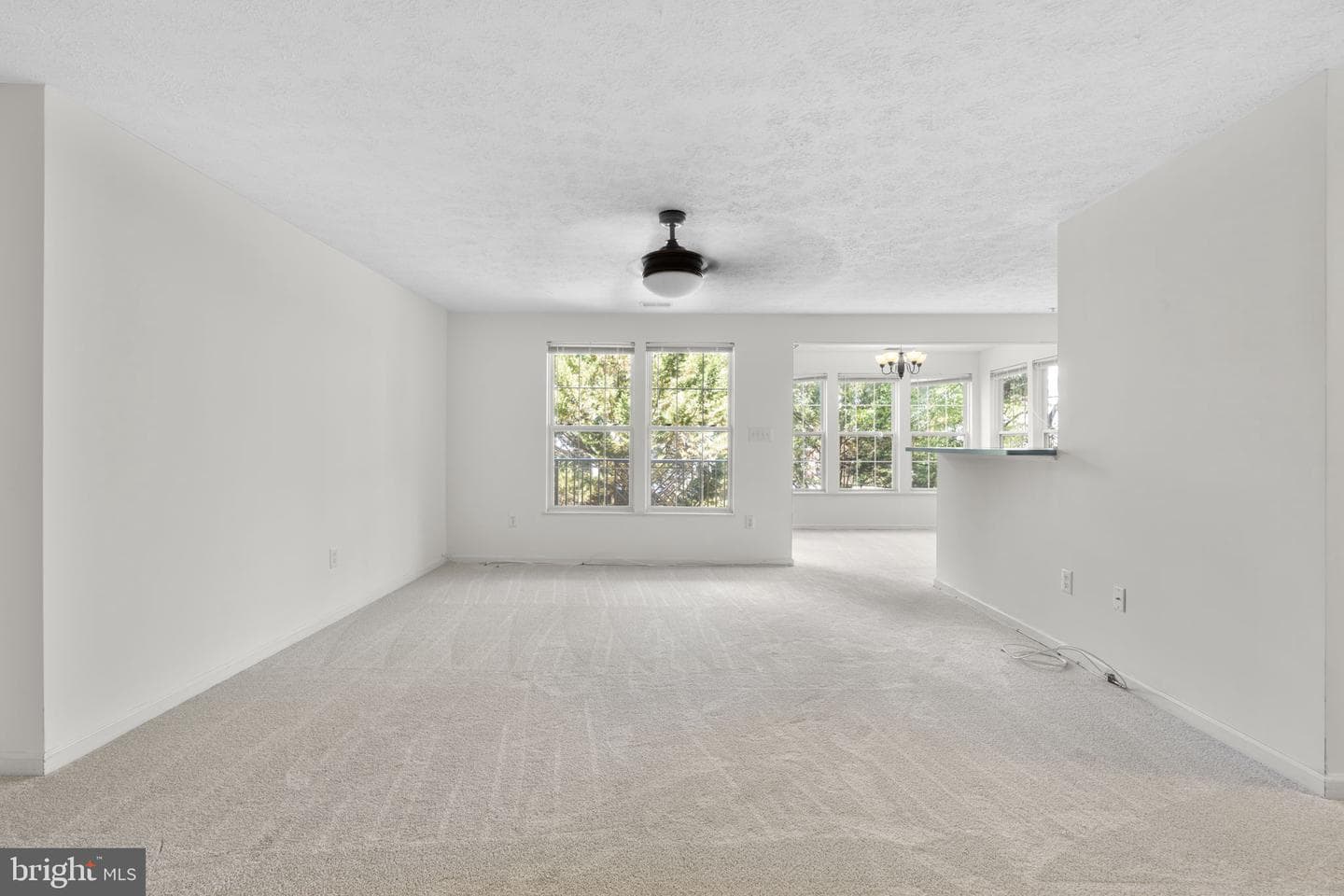 2444 Blue Spring Court #203 photo 5