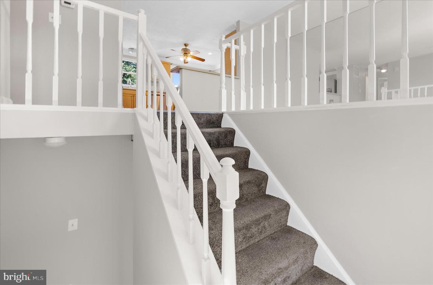 7854 Tick Neck Road photo 5
