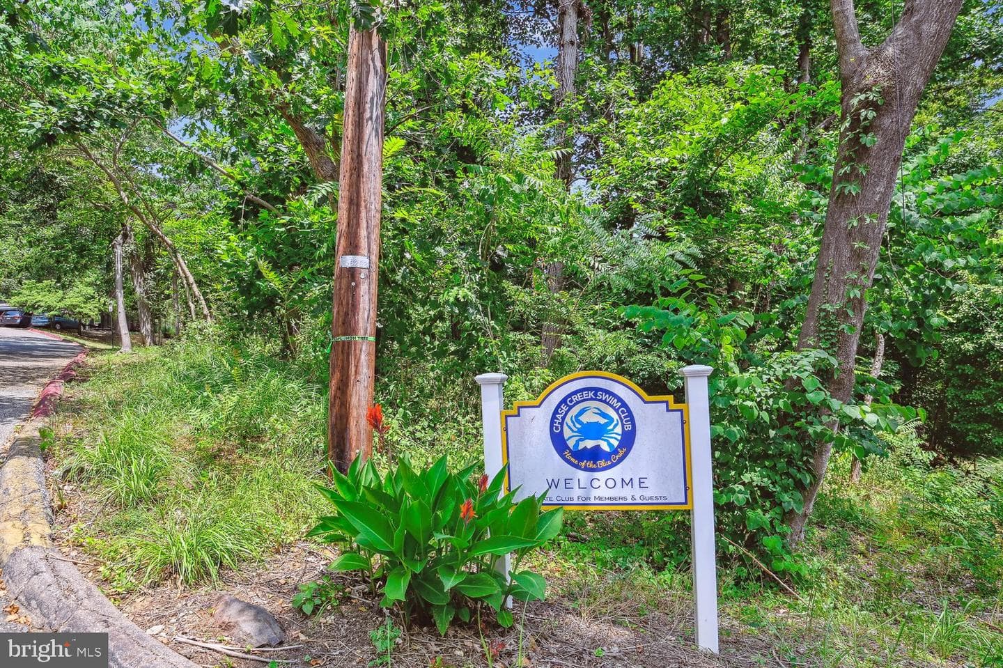 1518 Winchester Road photo 55