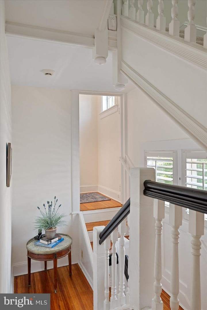 89 Shipwright Street photo 33