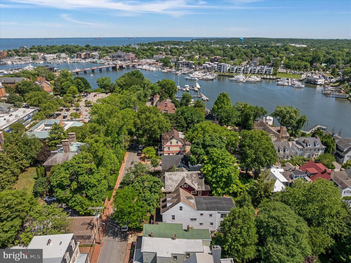 89 Shipwright Street photo 4