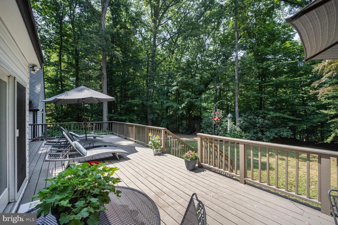 553 Choptank Cove Court photo 45