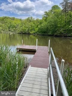 553 Choptank Cove Court photo 47