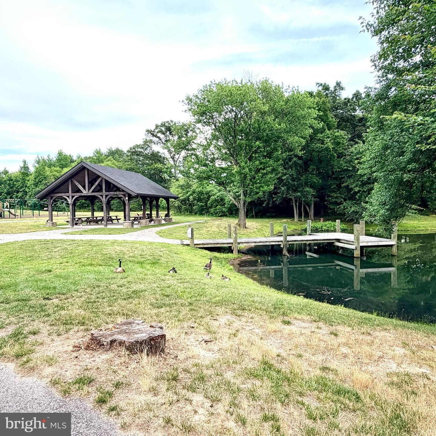 8306 Kippis Road photo 71