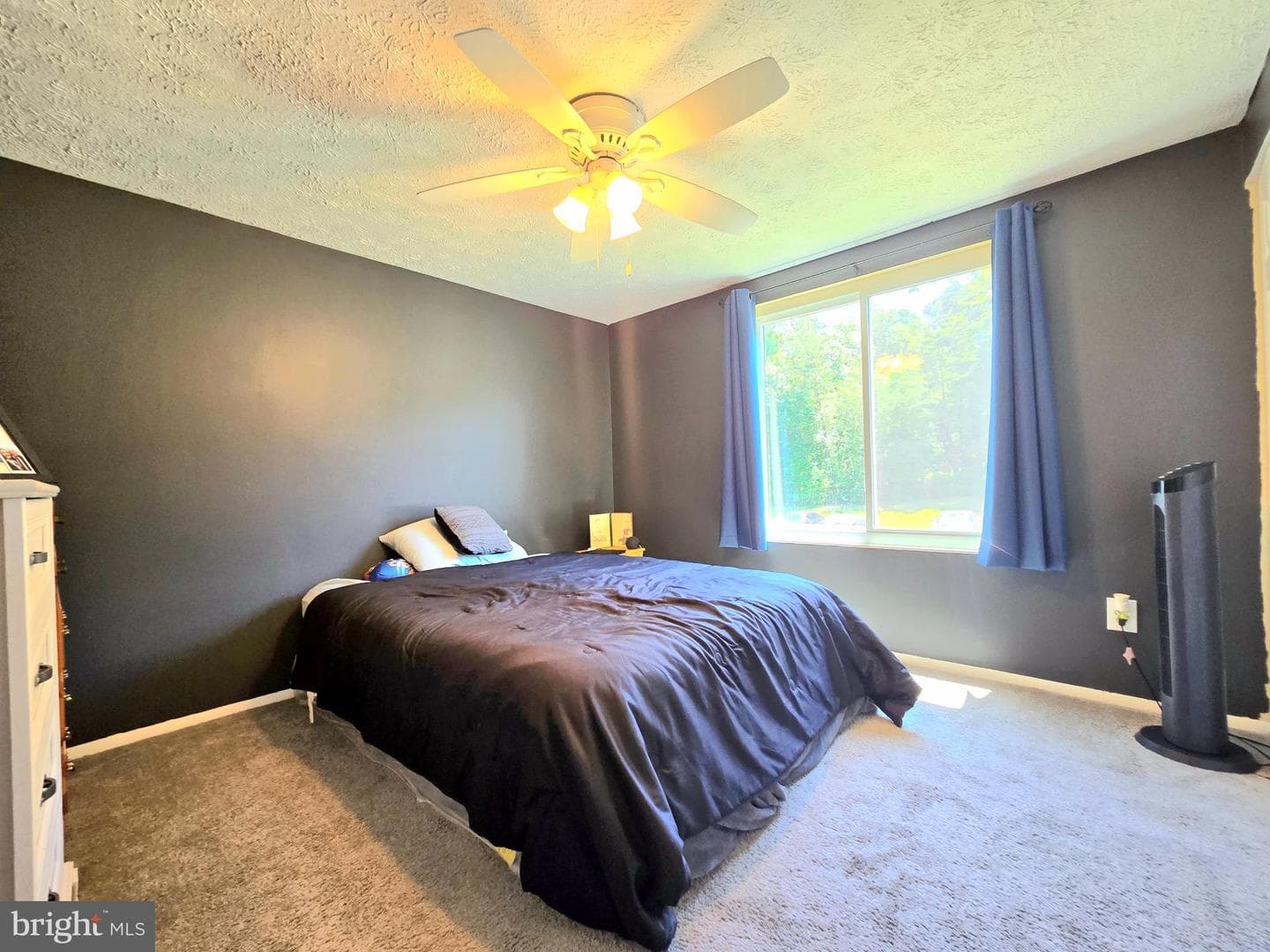 8034 Abbey Court #f photo 12