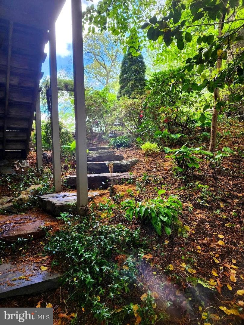 440 Bobwhite Trail photo 44