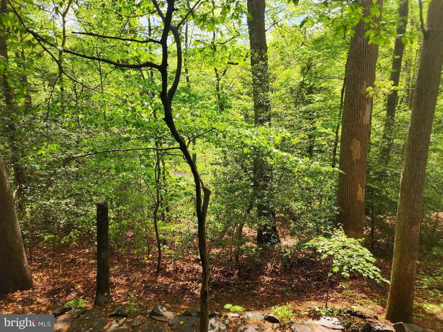 440 Bobwhite Trail photo 45