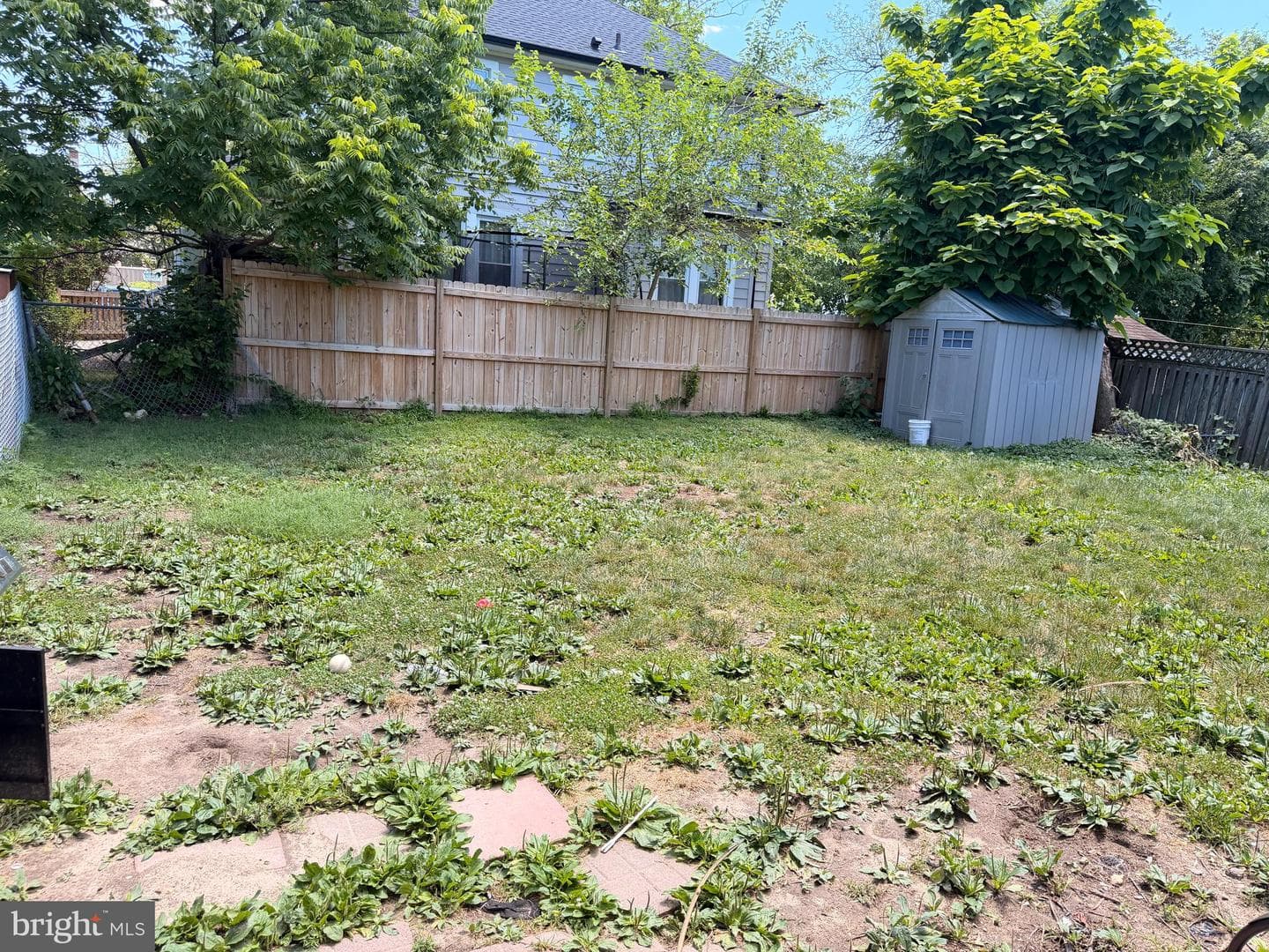 501 Wimmer Road photo 15