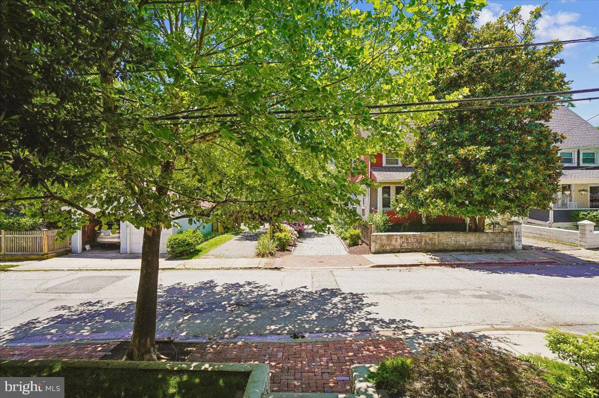 20 Shaw Street photo 7